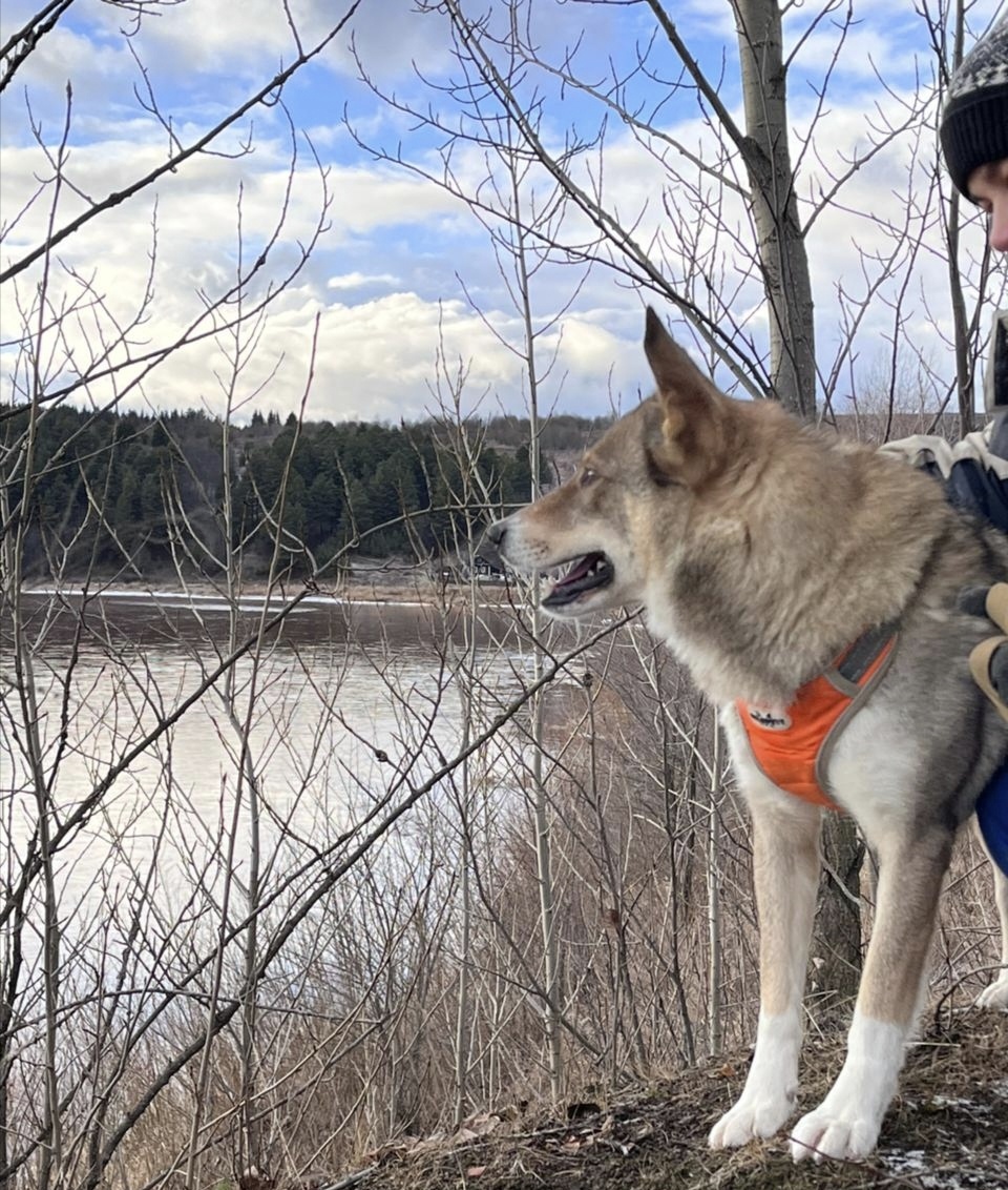 Фото изумительное 