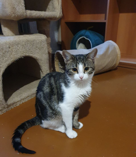 Ой, это про нам с Лавриком, всё так и было