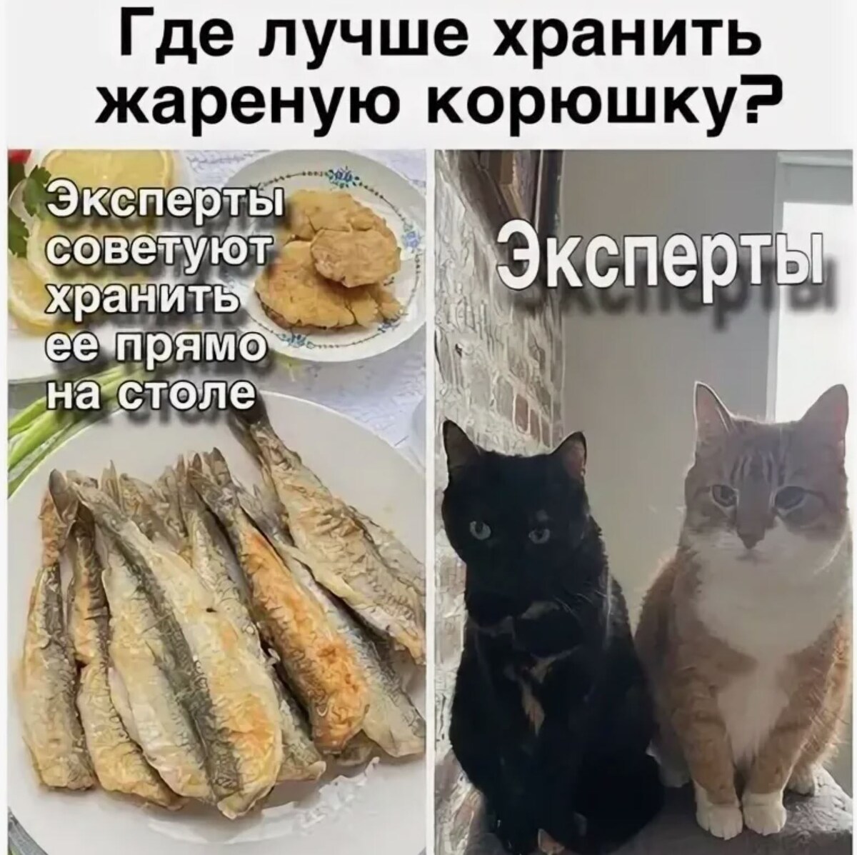 источник Яндекс-картинки