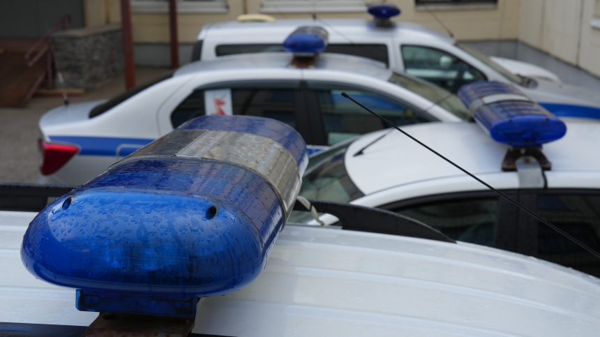    Фото: ИЗВЕСТИЯ/Дмитрий Коротаев; 5-tv.ru