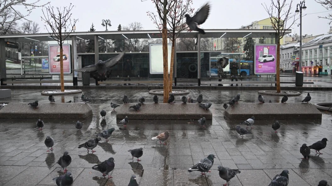    Фото: Oksana Korol/Business Online/Globallookpress