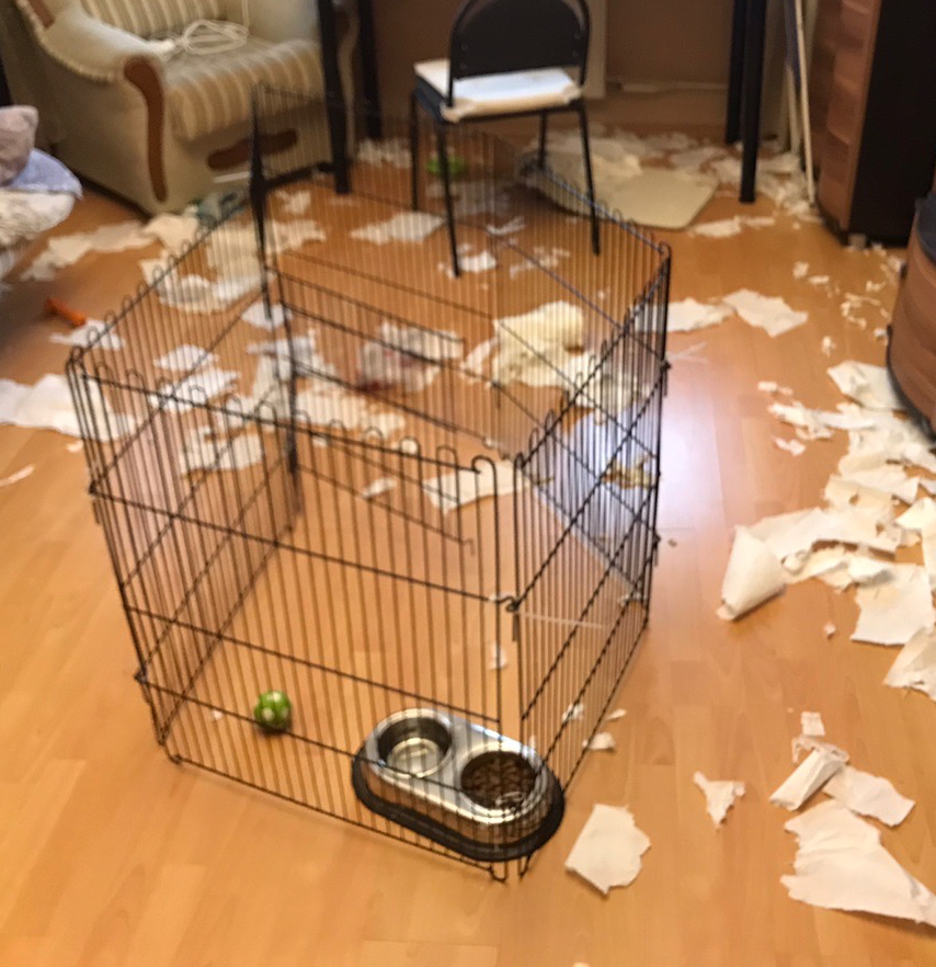 Ну да, небольшой творческий беспорядок