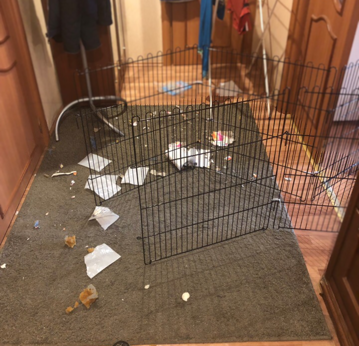 А тут комбо - и блокада входа и немного бумажных полотенец