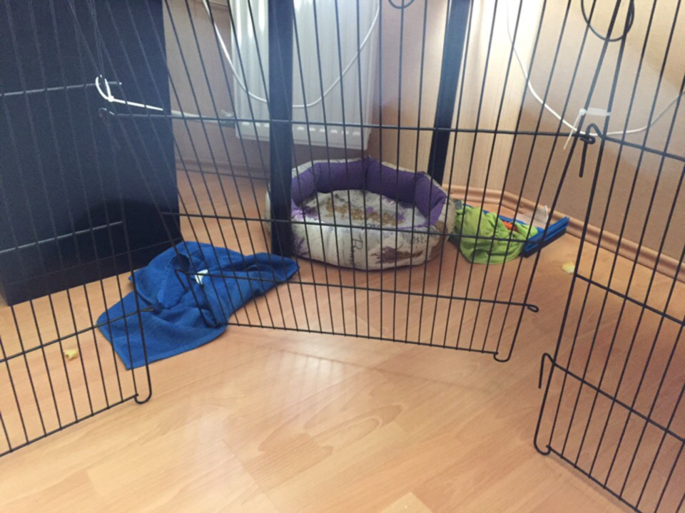 Один из способов совершить побег