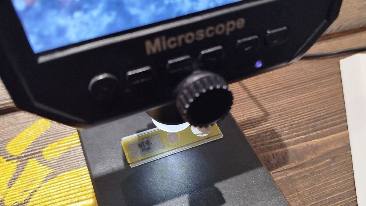    Фото: телеканал «Краснодар»