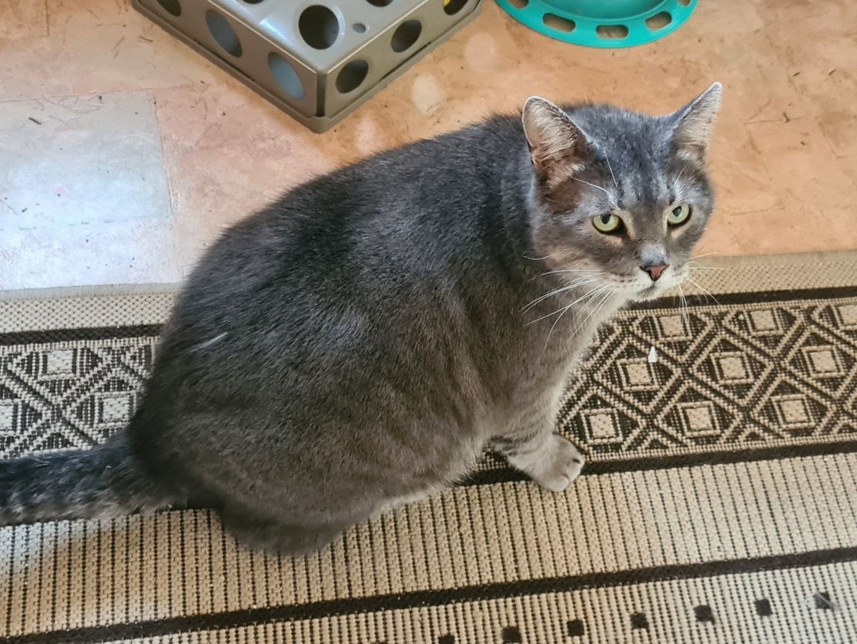 Или я наговариваю?