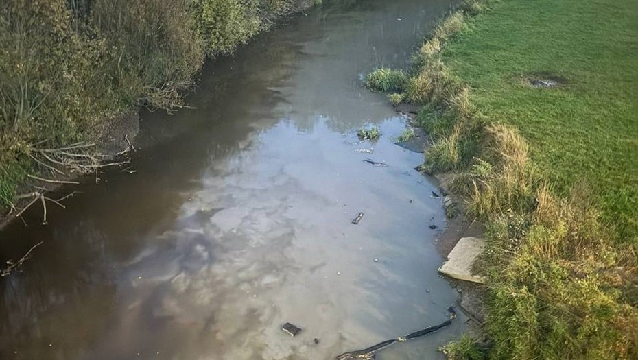    Росприроднадзора отмечает улучшение состояния воды в реке Охта Автор фото: Росприроднадзор