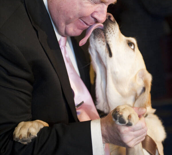 Баллада о собачьем хладнокровии