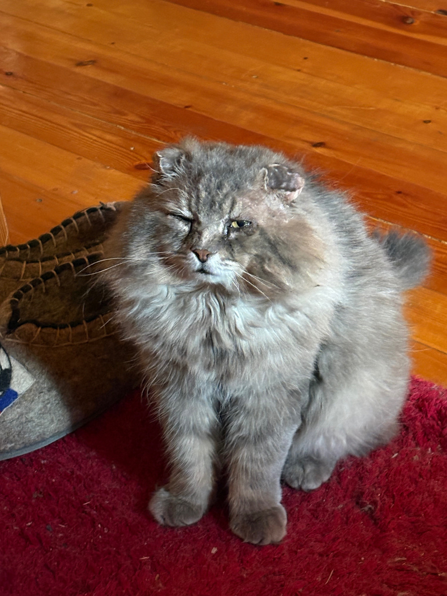 Куда бы завалиться спать???