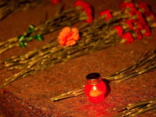    Фото: портал мэра и правительства Москвы/Максим Денисов