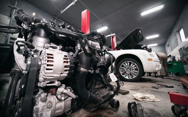 Фото: Shutterstock