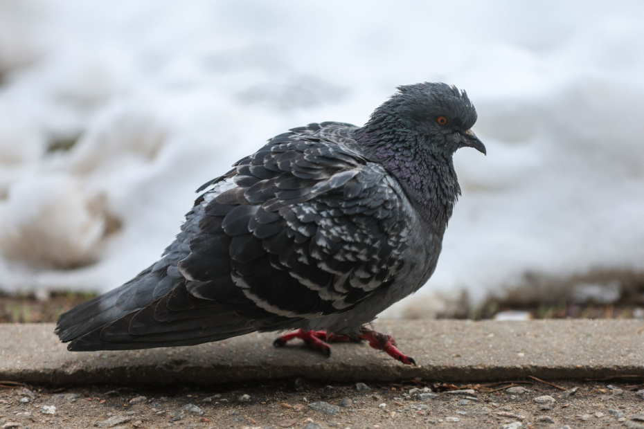    Алексей Белкин/NEWS.ru