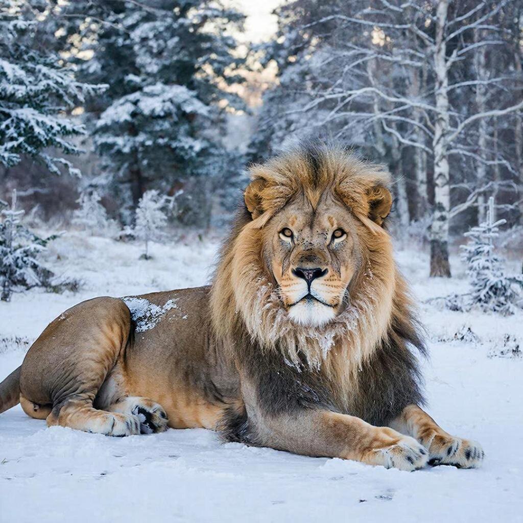 картинка ИИ