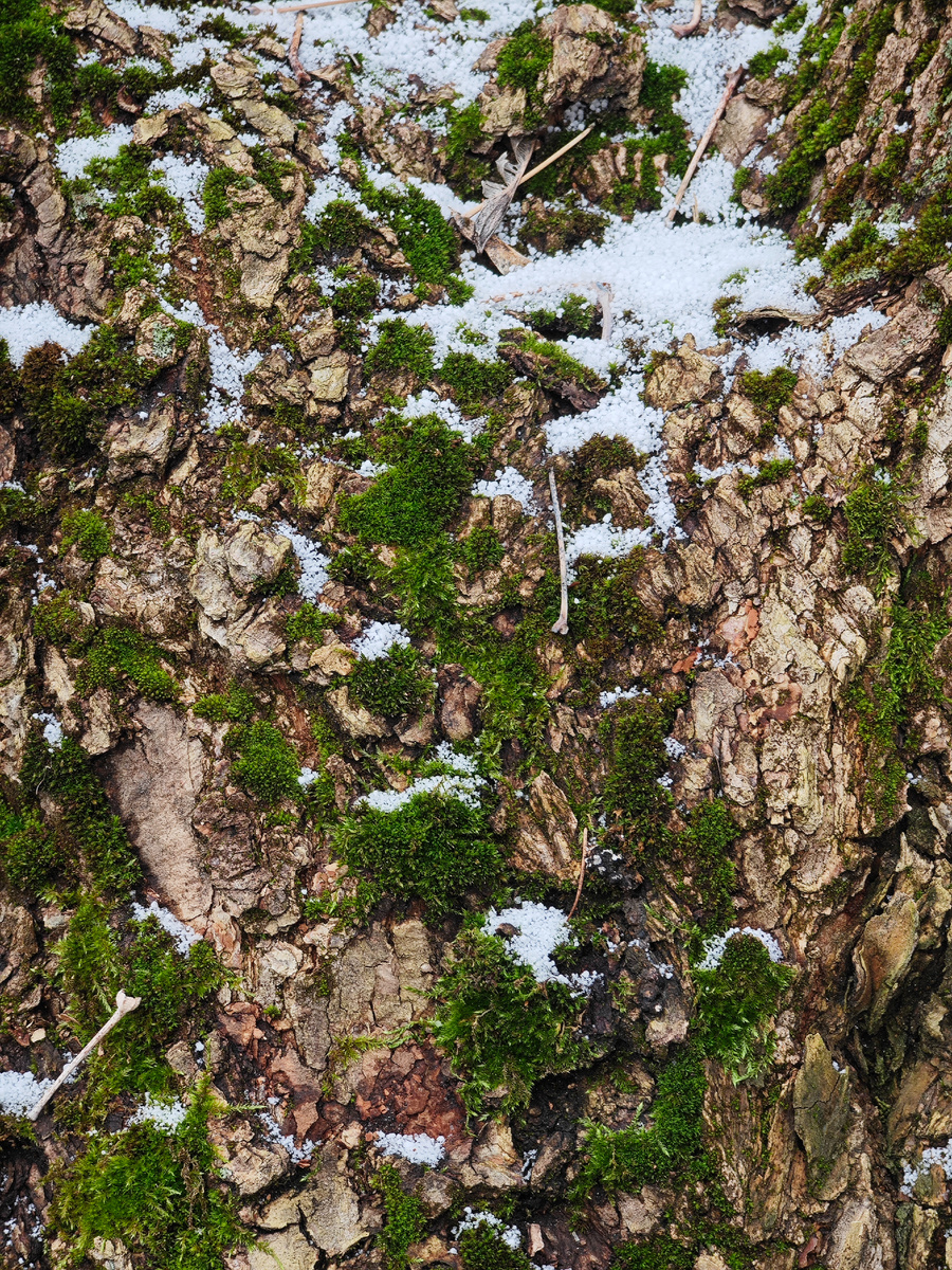 Фото автора канала 