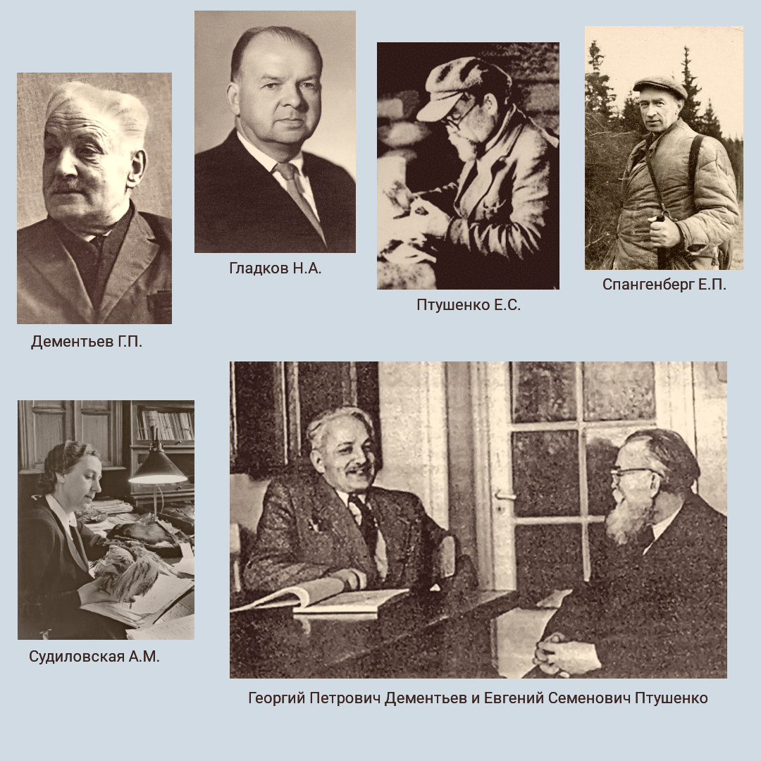 Редколлегия «Птицы Советского Союза»