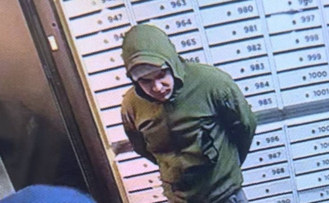    © Telegram-канал «Горячие новости Мурино I Девяткино»