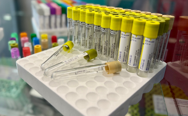    © Всеволожский муниципальный район ЛО