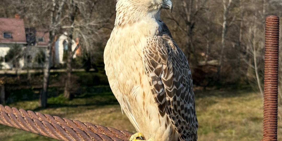 Адыгея: путешествие по зову сердца