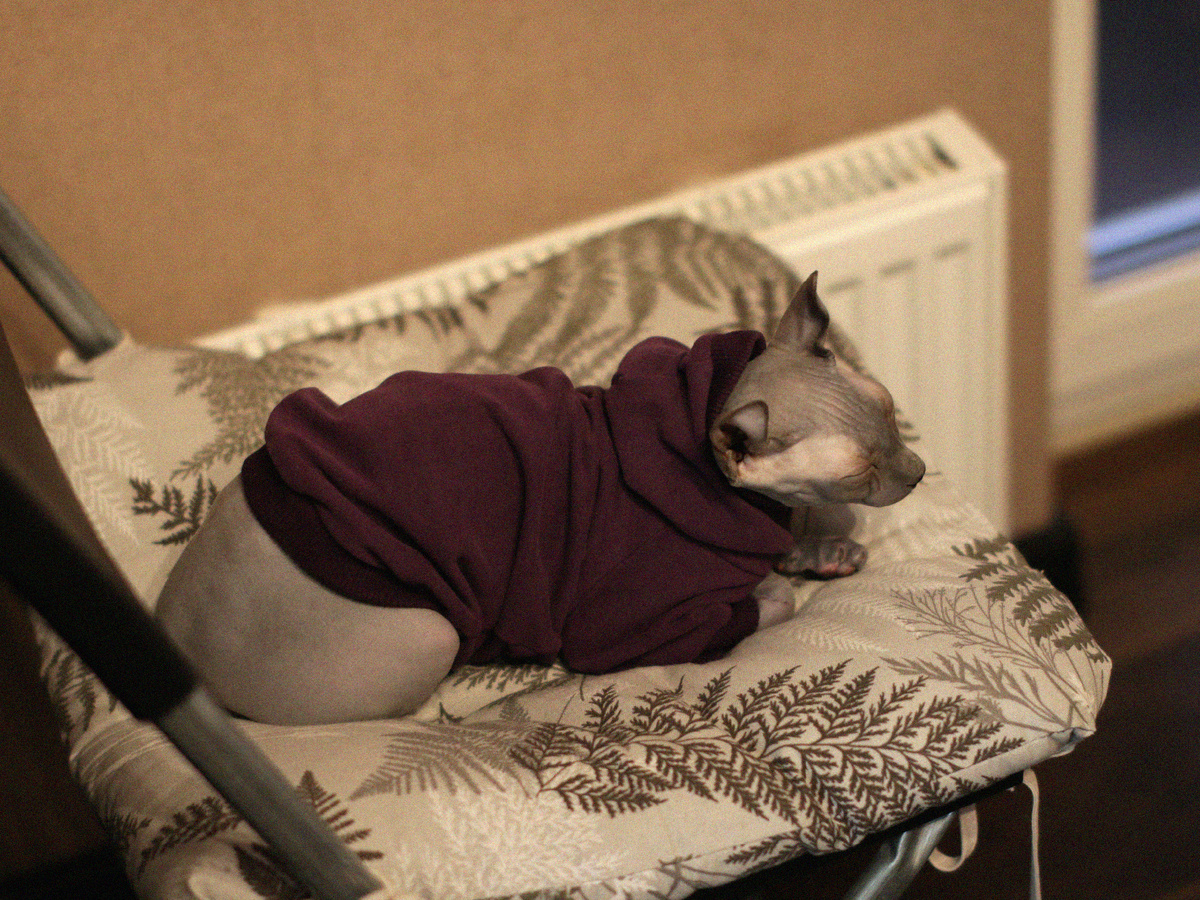 Эль часто спит с открытыми глазами, но фото не нашлось