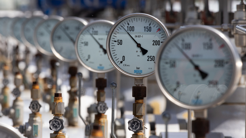    Фото: www.globallookpress.com/Attila Volgyi; 5-tv.ru