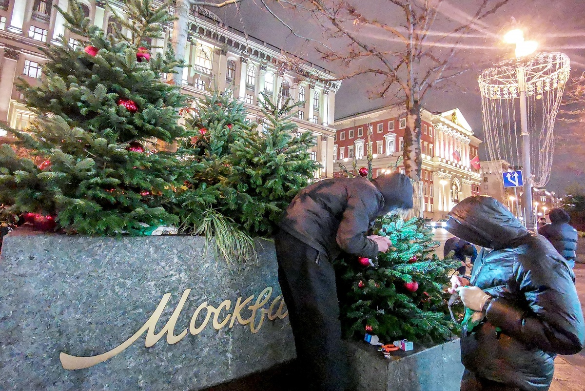    Новогодние композиции из живых деревьев уже украсили главную улицу Москвы - Тверскую. / Сергей Куксин/ РГ