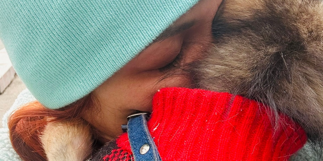 Приют для бездомных животных - место, где каждый заслуживает шанса на счастье!