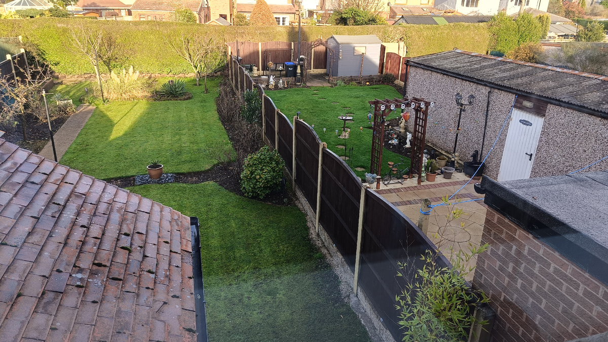 Мой и соседкин осенние сады сегодня, 26/11/25) 