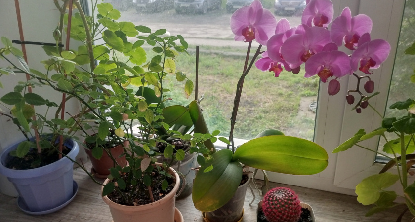    Автор фото - Анна Ефимова