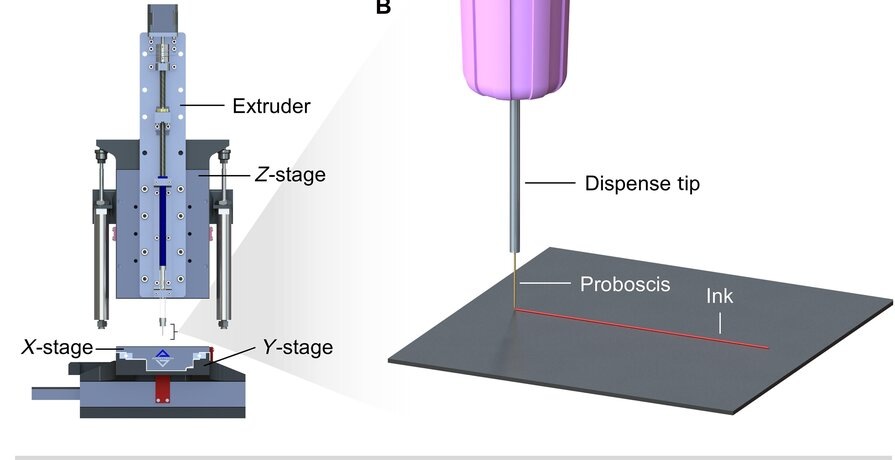    Фото: science.org