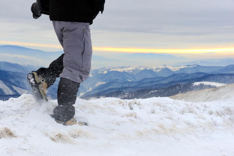    Фото: Volodymyr Burdiak, по лицензии shutterstock.com