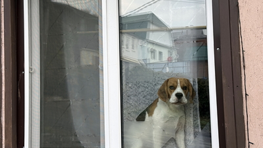    Alexander Legky/Globallookpress