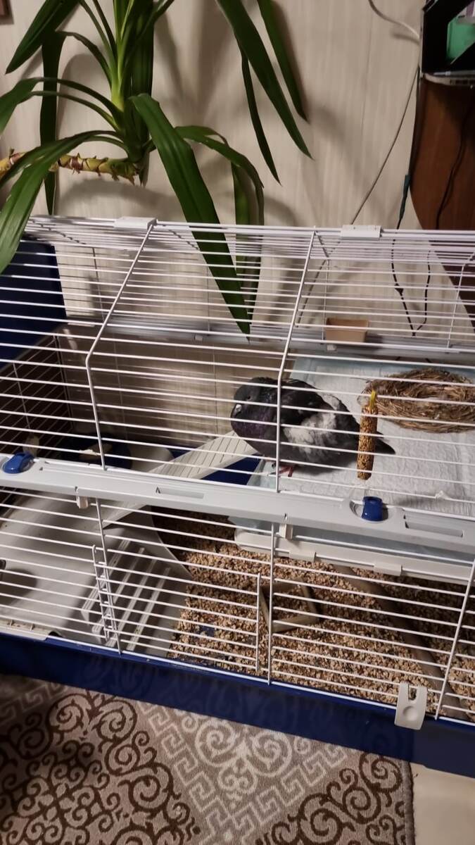 Лидер клуба "Неподвижных мыслителей"