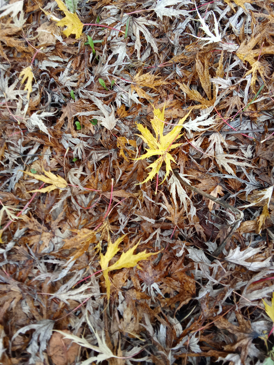 Личное фото