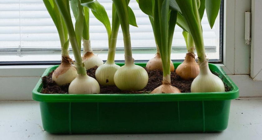    Сгенерировано в нейросети