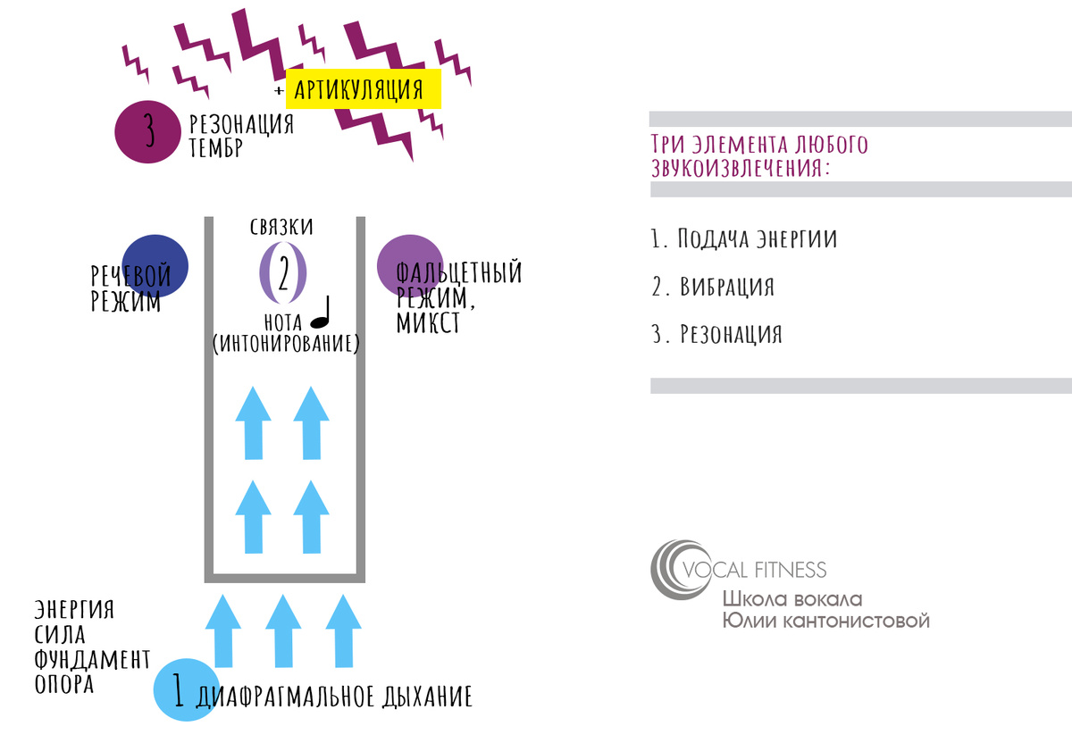 Модель вокального механизма (и не только). Юлия Кантонистова