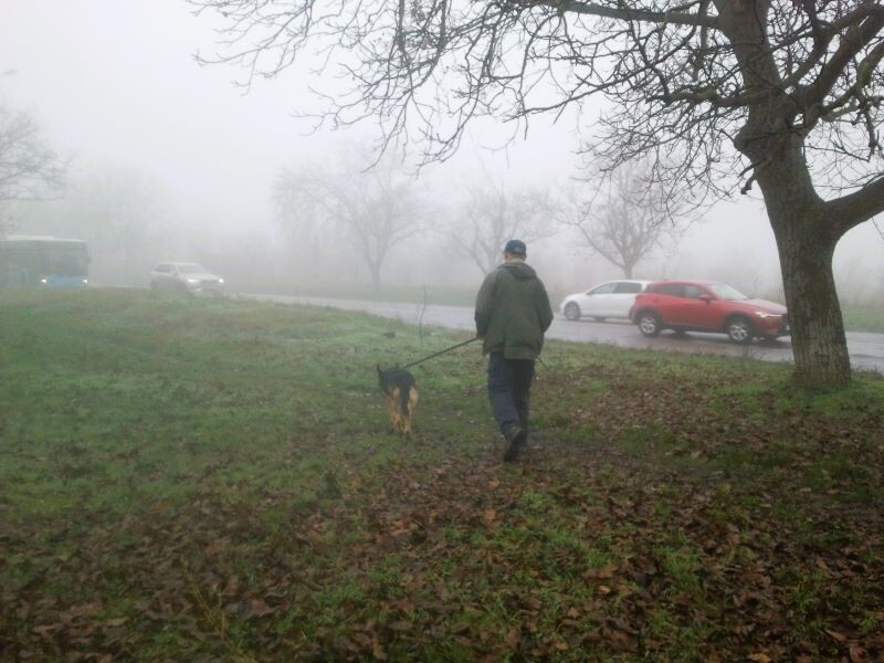 Фото автора