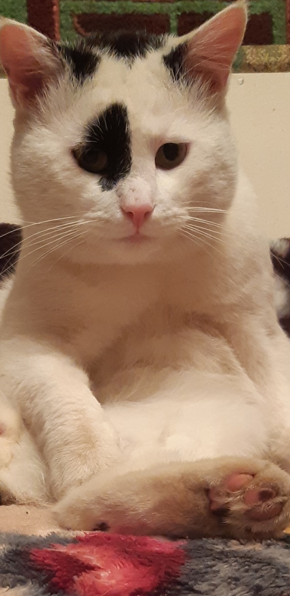 Курицу увозит, а сами как до весны дотянем? Сыр, колбасу отдала...непутёвая! Положи Йосю ей в чемодан и Ваттунена в пакет сюрпризом, вот это дело будет! 