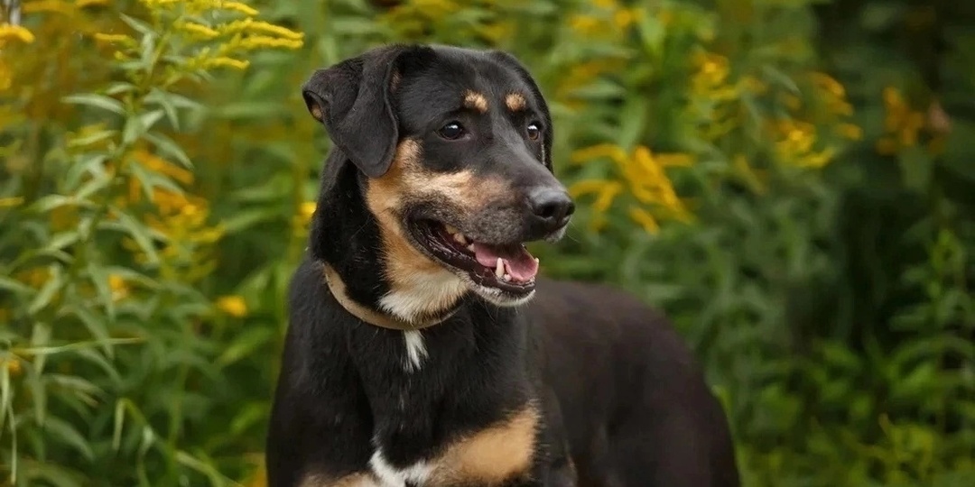 Габи. Напишем историю вместе ☺️