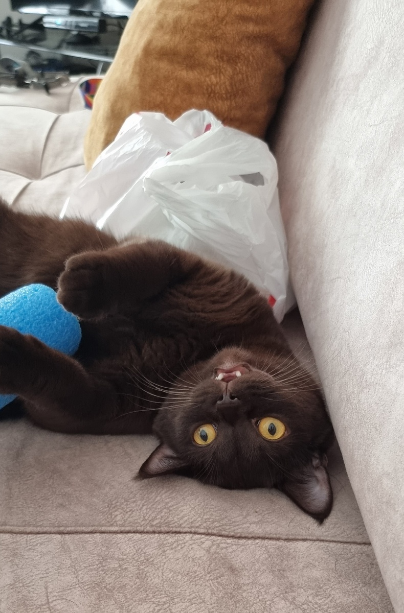 Нафанечка словил Дзен❤️