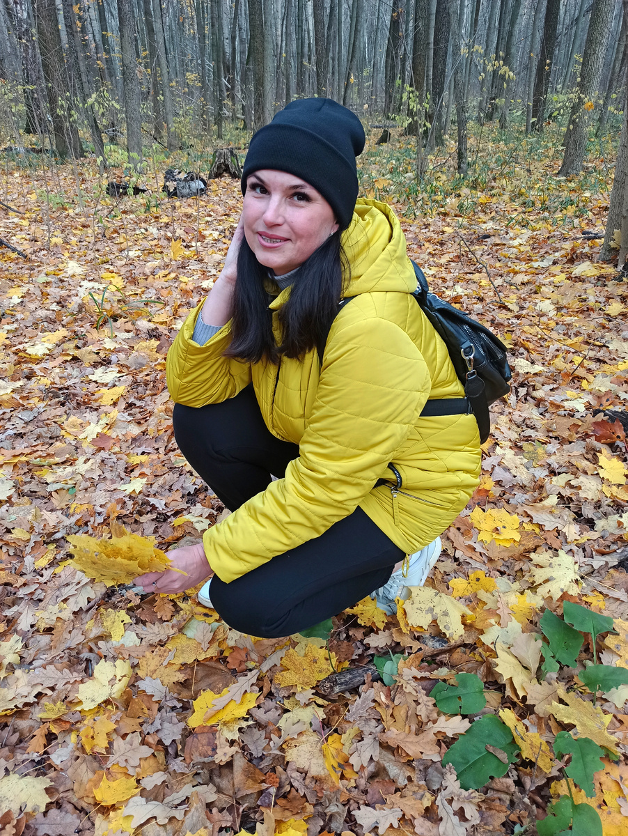 Осень в Нагорной дубраве.