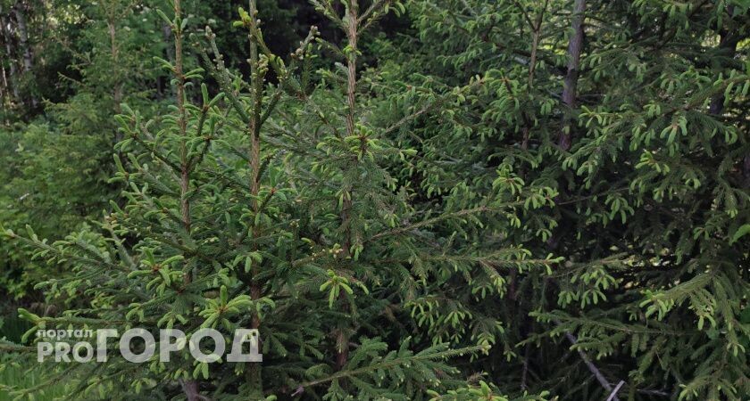    Фото "Про Город"