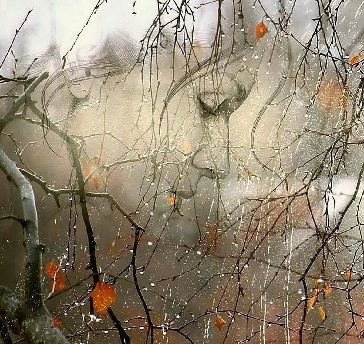 Изображение из открытых источников