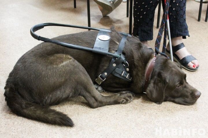    Фото:Елена Барабанова