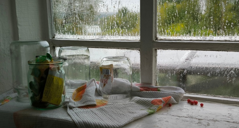    фото из архива редакции