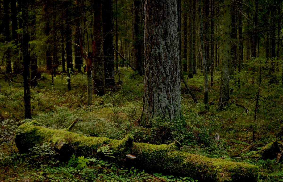 Фото из личного фотоархива