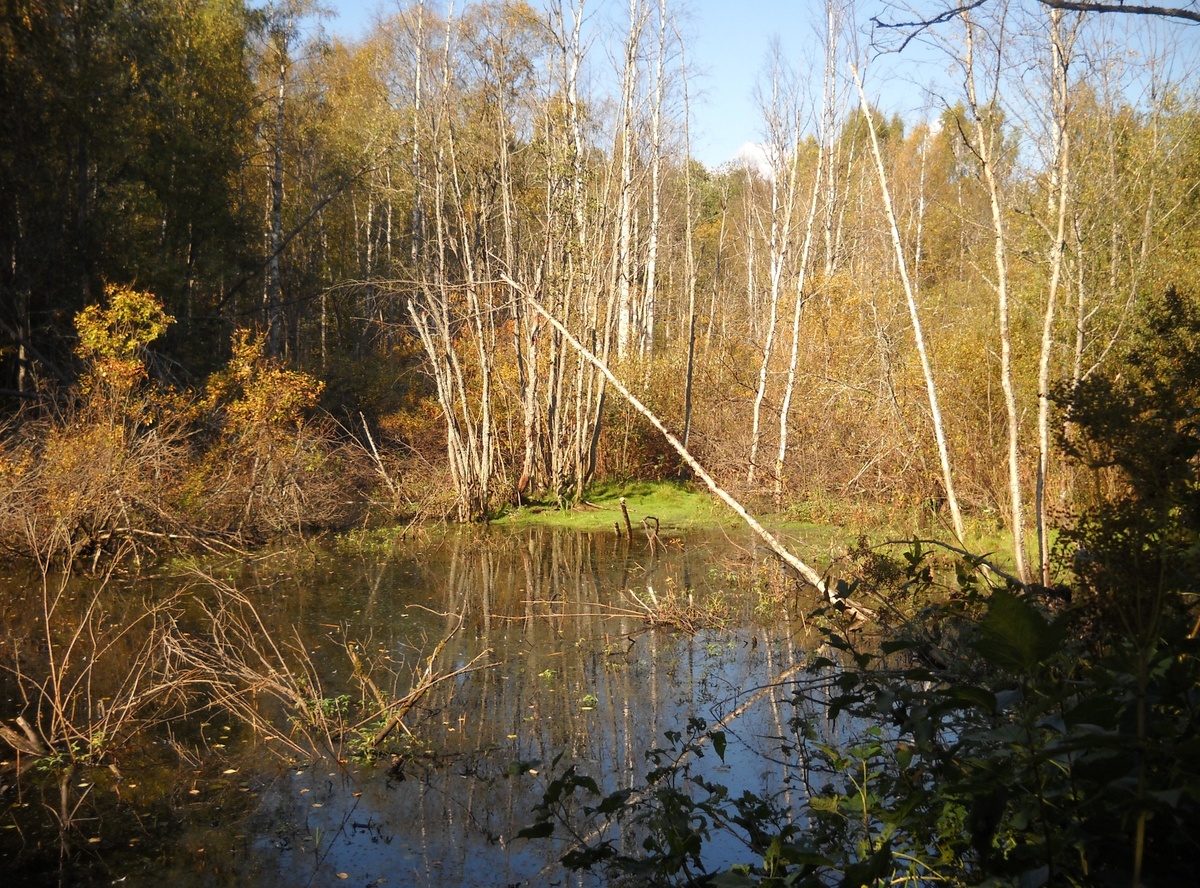 Фото из личного фотоархива