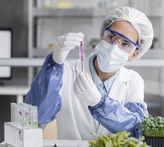 Источник https://ru.freepik.com/