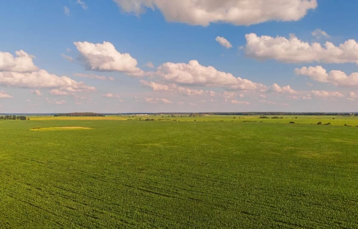    В Хабаровском крае гектар с объектами МО РФ незаконно отдали частному лицу