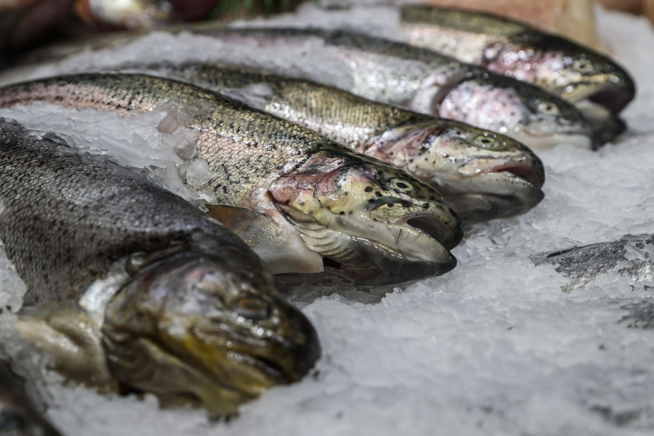    Сергей Булкин/NEWS.ru