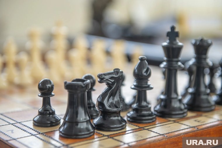     Команда уверенно преодолела групповой этап и плей-офф